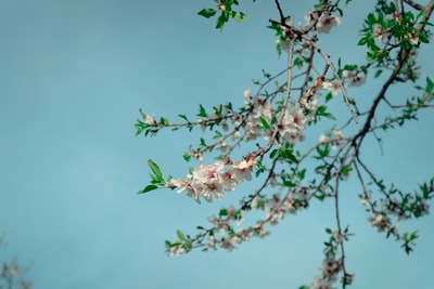 图聚科技